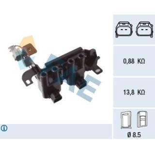 Ritė, uždegimas FAE 80439