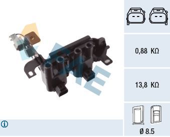 Ritė, uždegimas FAE 80439