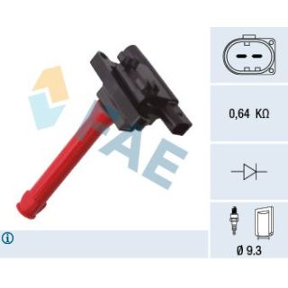 Ritė, uždegimas FAE 80441