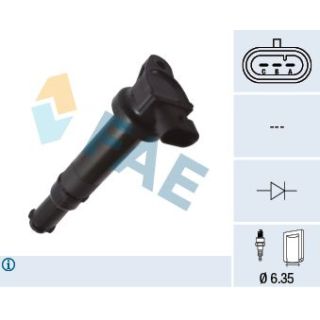 Ritė, uždegimas FAE 80449