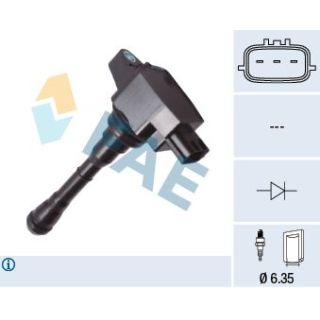 Ritė, uždegimas FAE 80450