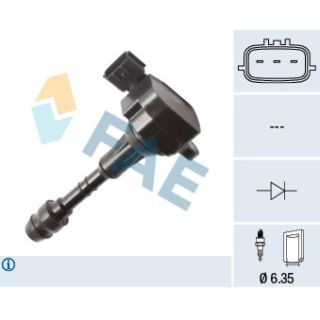 Ritė, uždegimas FAE 80454