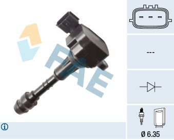 Ritė, uždegimas FAE 80454
