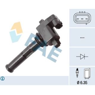 Ritė, uždegimas FAE 80457