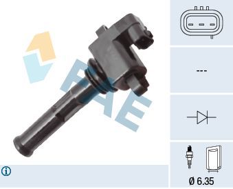 Ritė, uždegimas FAE 80457