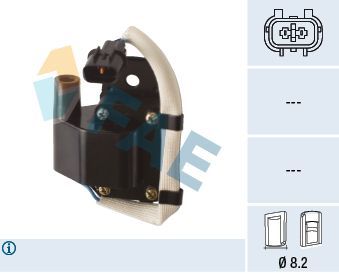 Ritė, uždegimas FAE 80458