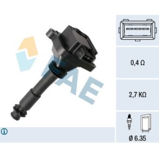 Ritė, uždegimas FAE 80461
