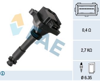 Ritė, uždegimas FAE 80461