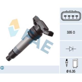 Ritė, uždegimas FAE 80462