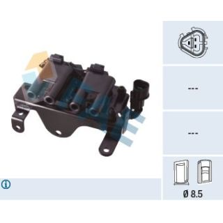 Ritė, uždegimas FAE 80466