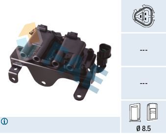 Ritė, uždegimas FAE 80466