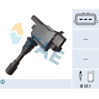 Ritė, uždegimas FAE 80467