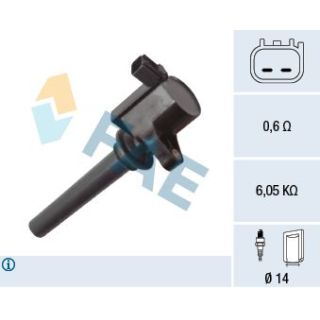 Ritė, uždegimas FAE 80470