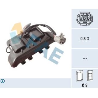 Ritė, uždegimas FAE 80490