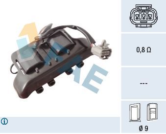 Ritė, uždegimas FAE 80490