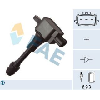 Ritė, uždegimas FAE 80491