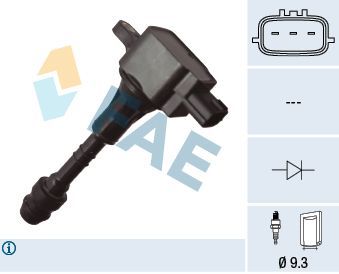 Ritė, uždegimas FAE 80491