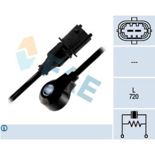 Detonacijos jutiklis FAE 60165