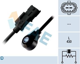 Detonacijos jutiklis FAE 60243