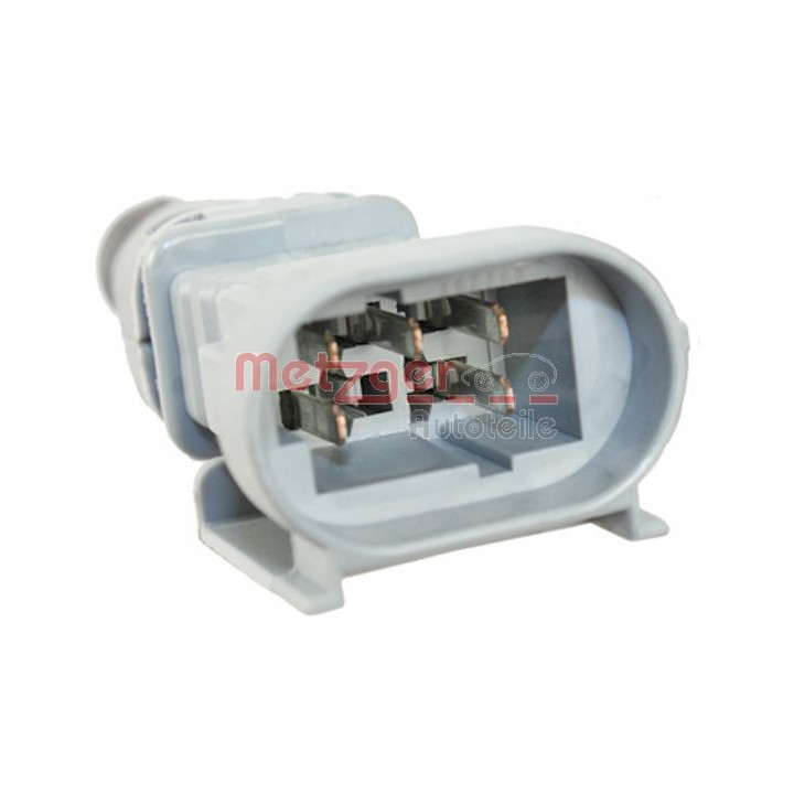 Valytuvo variklis METZGER 2190845