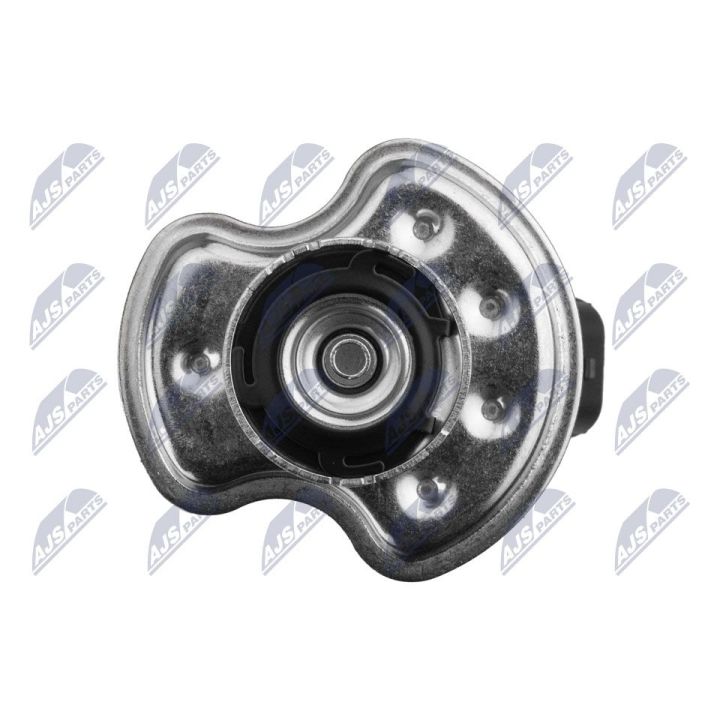 Dozavimo modulis, urėjos įpurškimas NTY BWP-HY-001