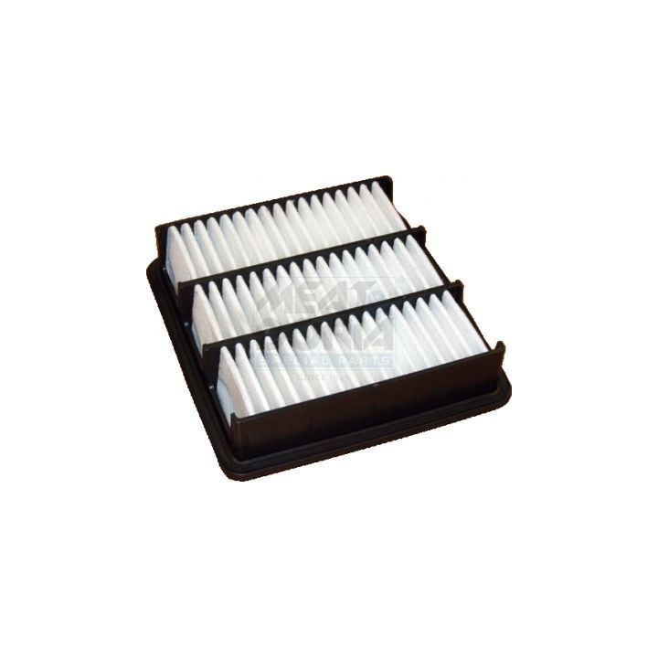Oro filtras MEAT & DORIA 18386