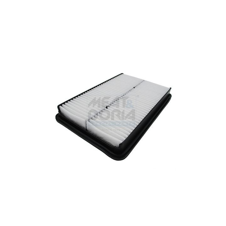 Oro filtras MEAT & DORIA 18636