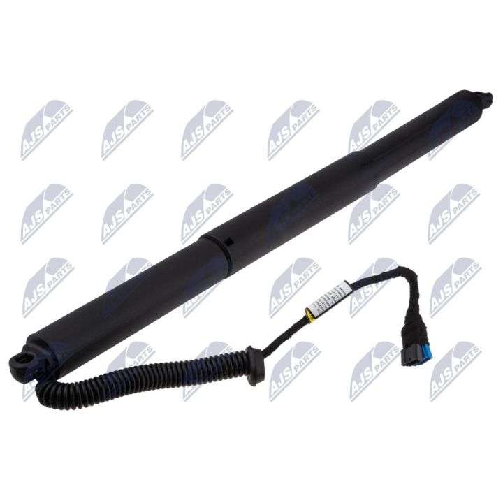 Galinių durų elektros variklis NTY AE-BM-136