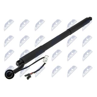 Galinių durų elektros variklis NTY AE-CH-046