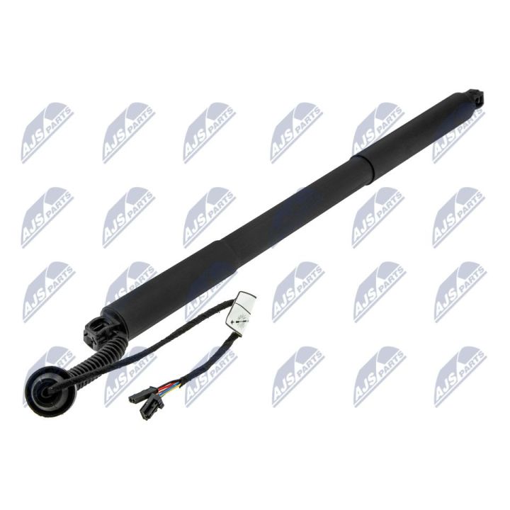 Galinių durų elektros variklis NTY AE-CH-046