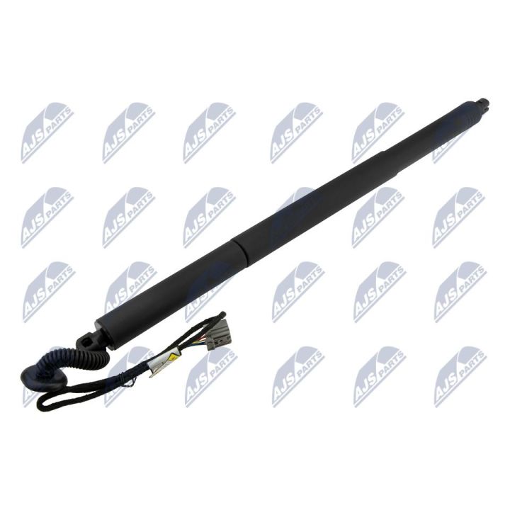 Galinių durų elektros variklis NTY AE-CH-055