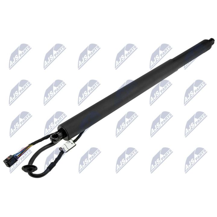 Galinių durų elektros variklis NTY AE-HY-045