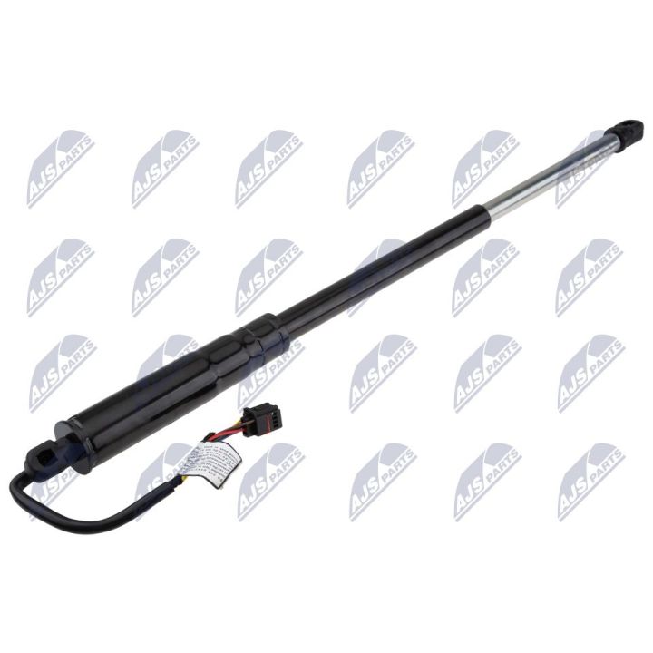 Galinių durų elektros variklis NTY AE-JG-002