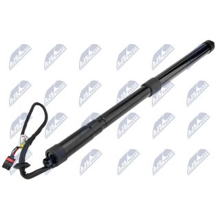 Galinių durų elektros variklis NTY AE-LR-017