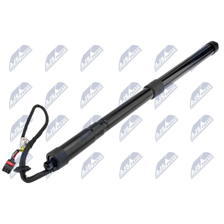 Galinių durų elektros variklis NTY AE-LR-017