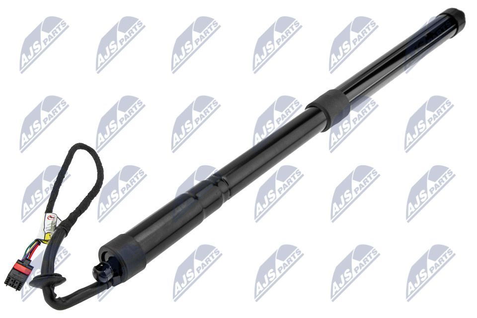 Galinių durų elektros variklis NTY AE-LR-017