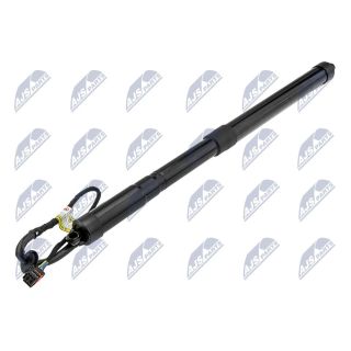 Galinių durų elektros variklis NTY AE-LR-019