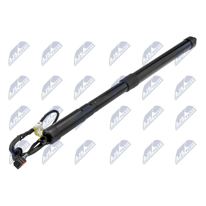 Galinių durų elektros variklis NTY AE-LR-019