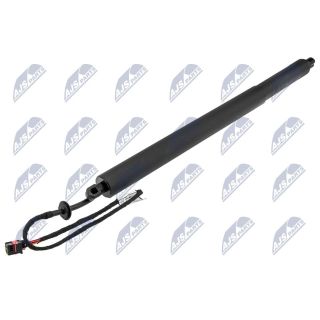 Galinių durų elektros variklis NTY AE-LR-020