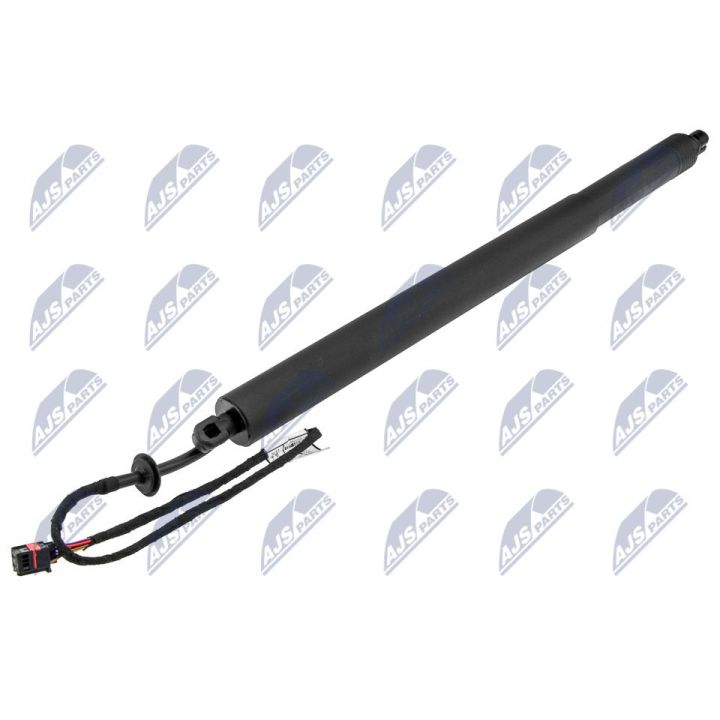 Galinių durų elektros variklis NTY AE-LR-020