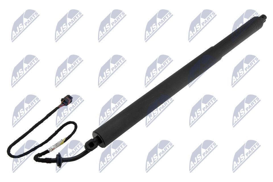 Galinių durų elektros variklis NTY AE-LR-022