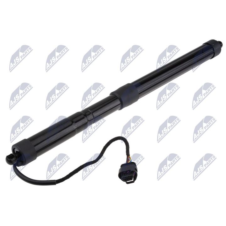 Galinių durų elektros variklis NTY AE-LR-023