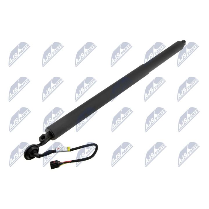 Galinių durų elektros variklis NTY AE-LR-024