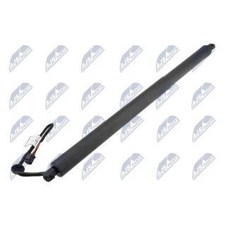 Galinių durų elektros variklis NTY AE-LR-025