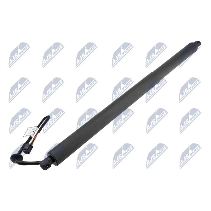 Galinių durų elektros variklis NTY AE-LR-025