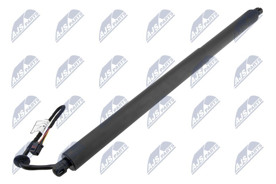 Galinių durų elektros variklis NTY AE-LR-025