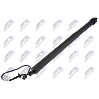 Galinių durų elektros variklis NTY AE-LR-026