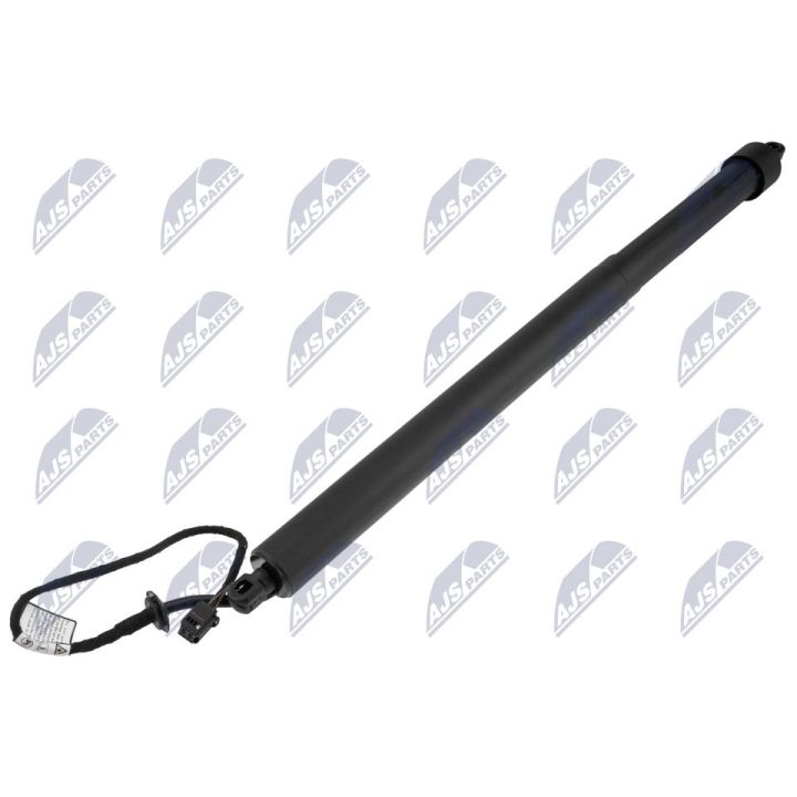 Galinių durų elektros variklis NTY AE-LR-026