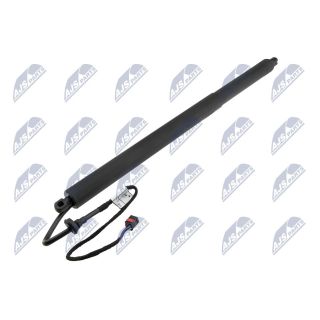 Galinių durų elektros variklis NTY AE-MA-001