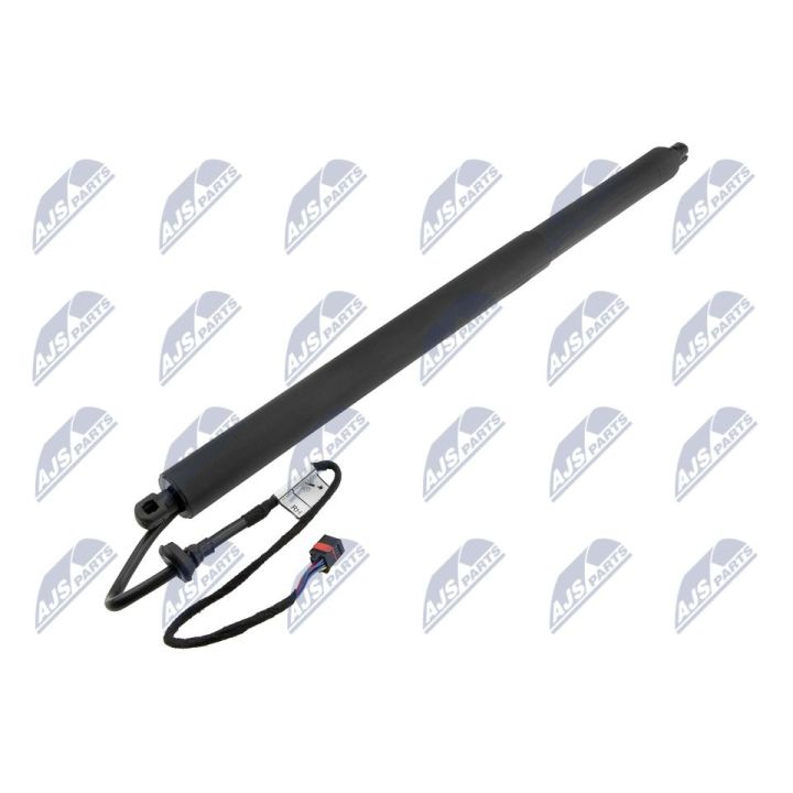 Galinių durų elektros variklis NTY AE-MA-001